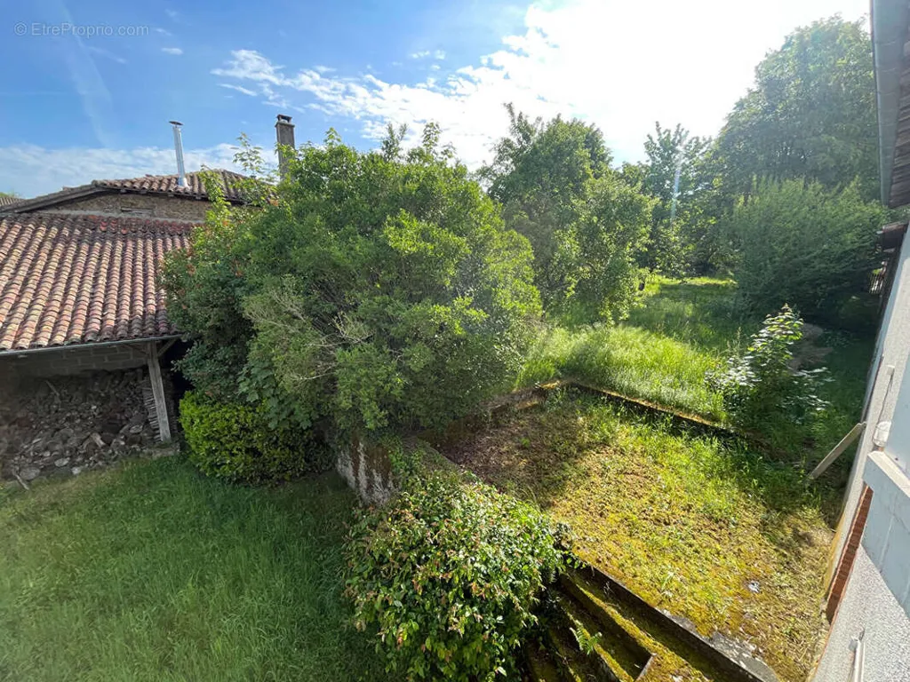 Aed - Historic House with Large Garden in Videix