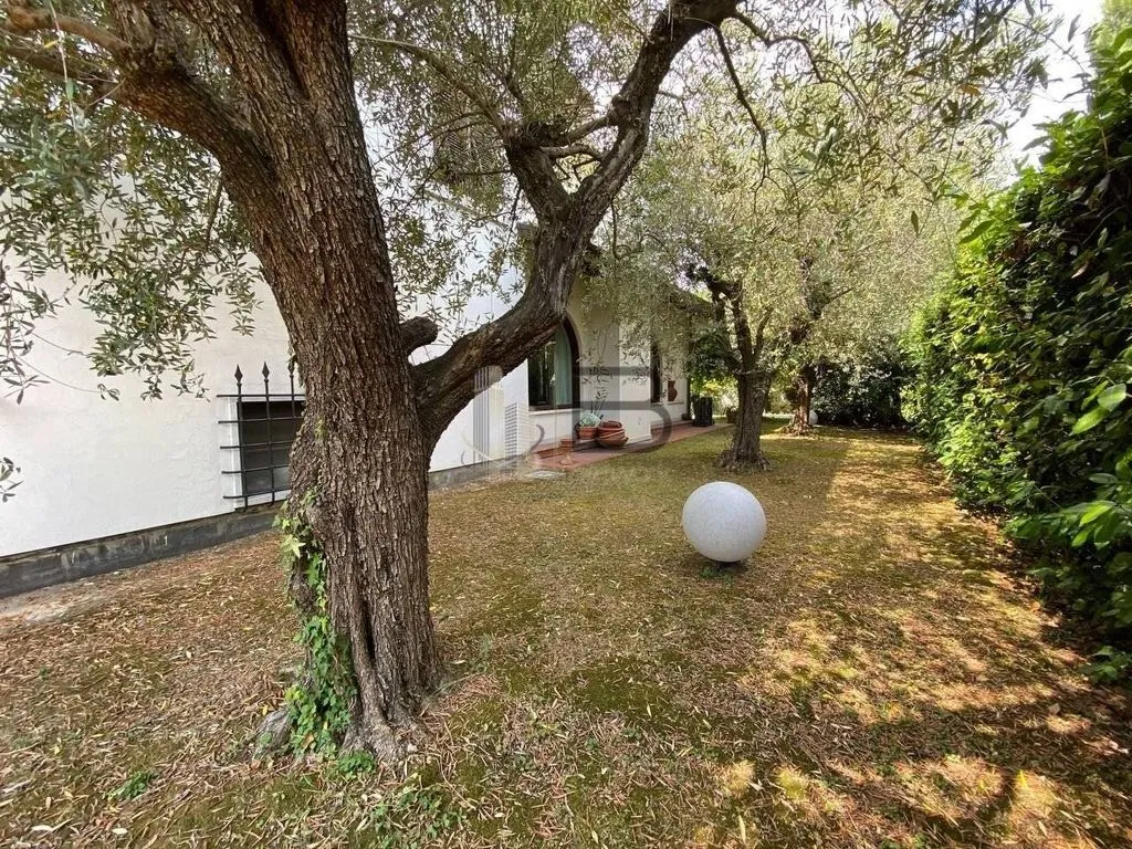Giardino - Villa con giardino privato a Marina di Carrara