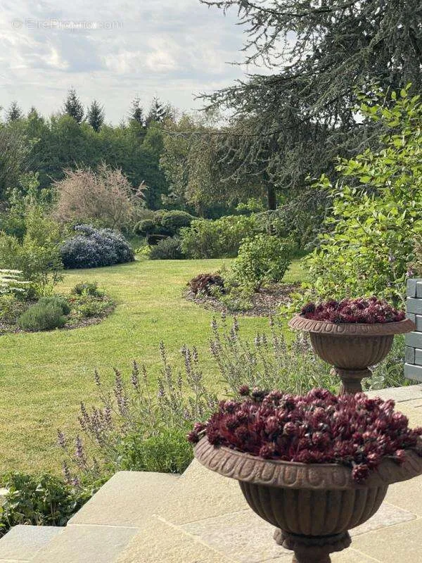 Aed - 18th-Century Property with Pool in Nogent le Rotrou