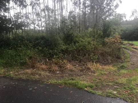 Jardin - Plot with Views in Zas, A Coruña