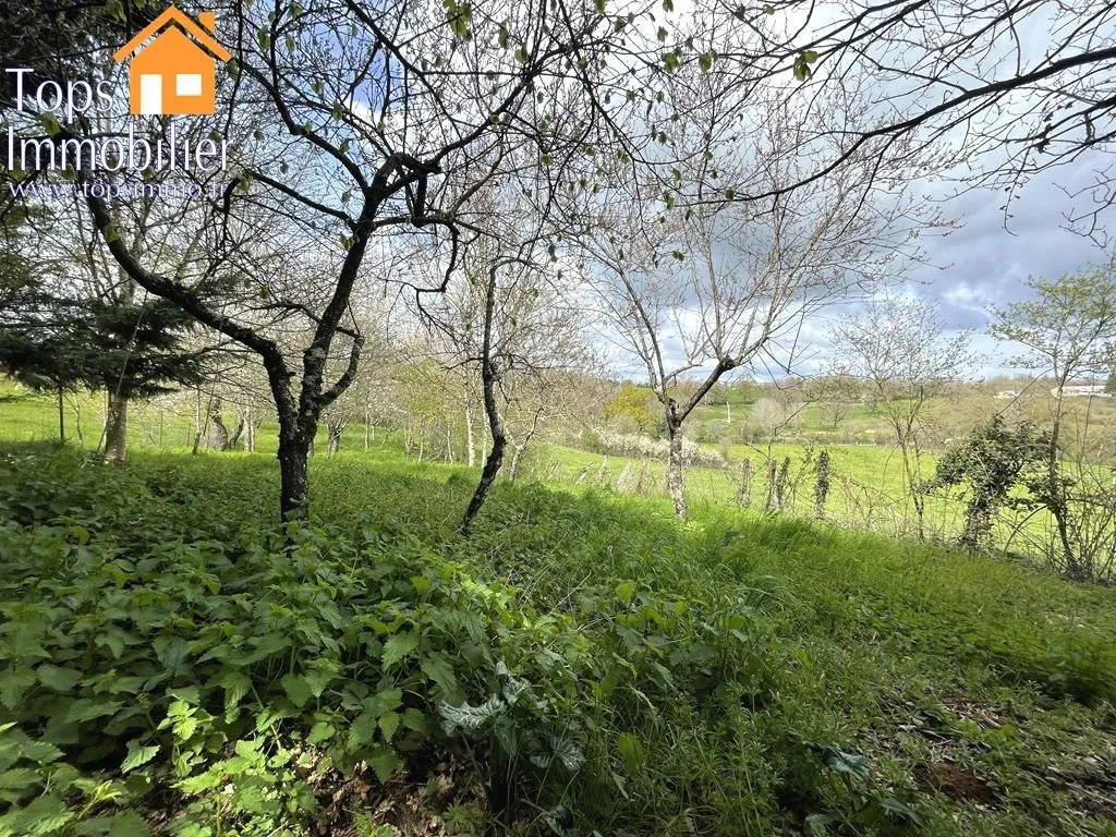 Jardin - Maison de Campagne avec Terrain à Savignac