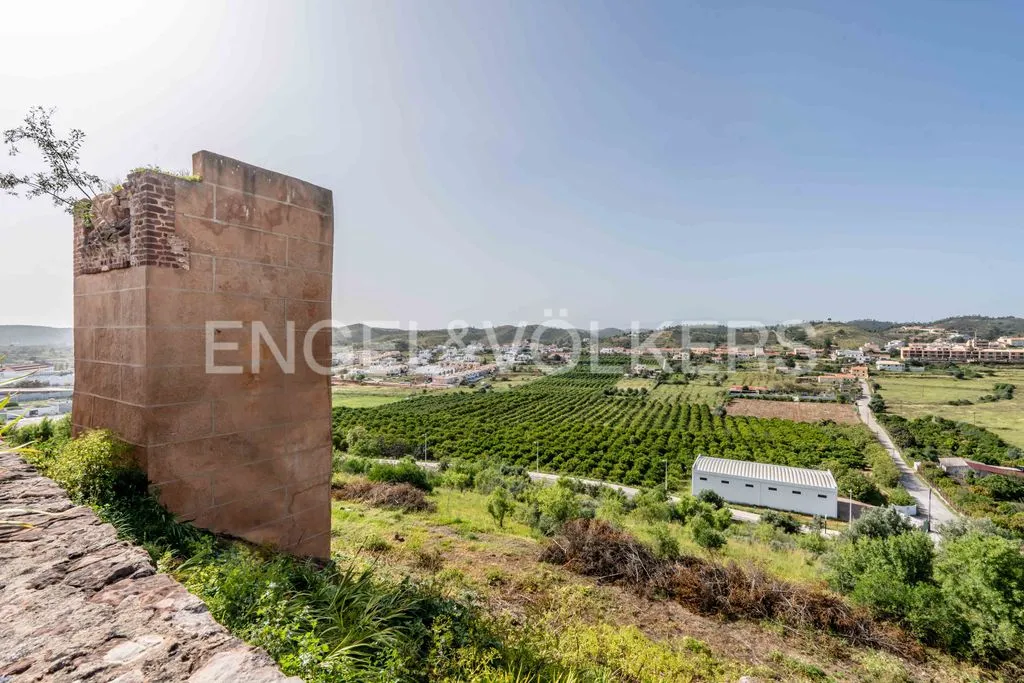 Jardin - Luxury Villa with Garden near Silves Castle