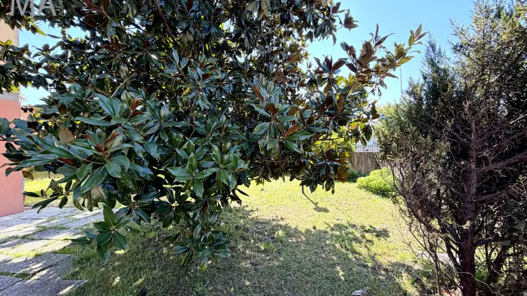 Aed - Terraced Villa with Garden in Mesola