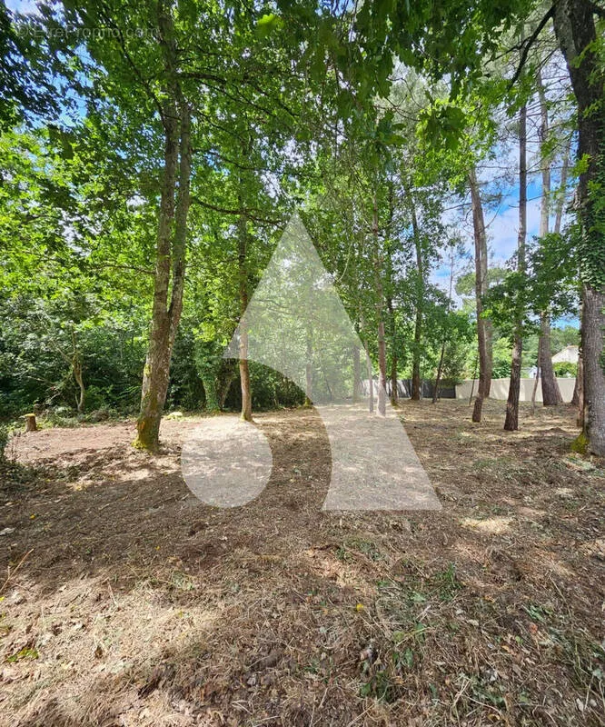 Aed - Constructible Plot with Garden in La Tremblade