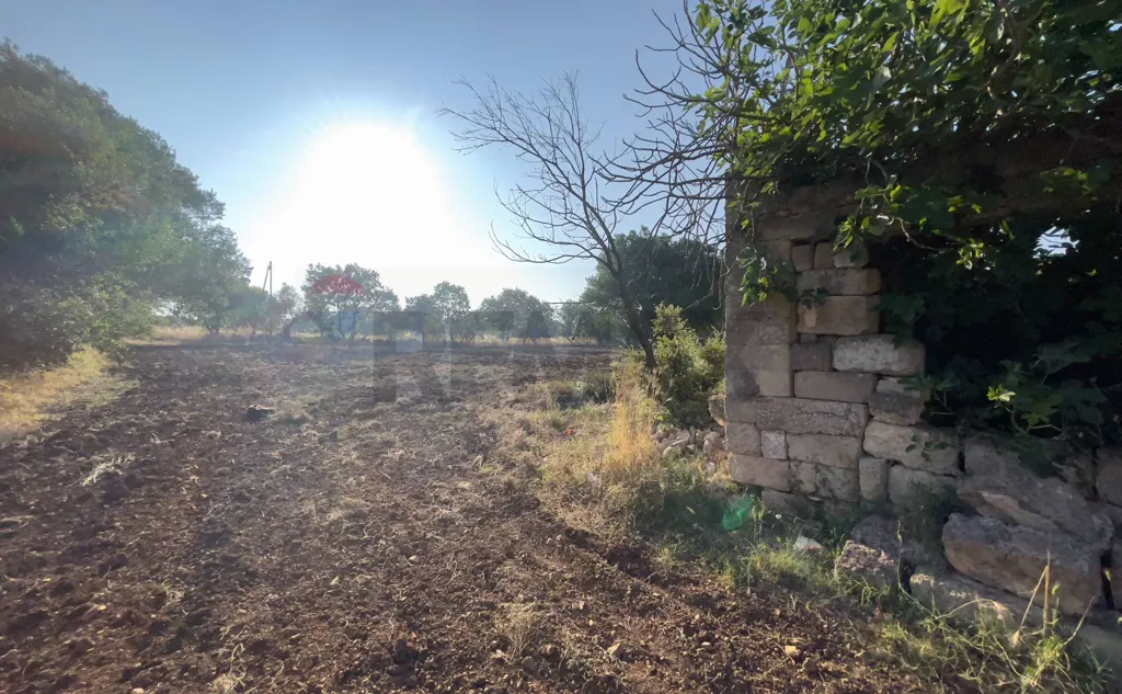 Jardin - Terrain à IT