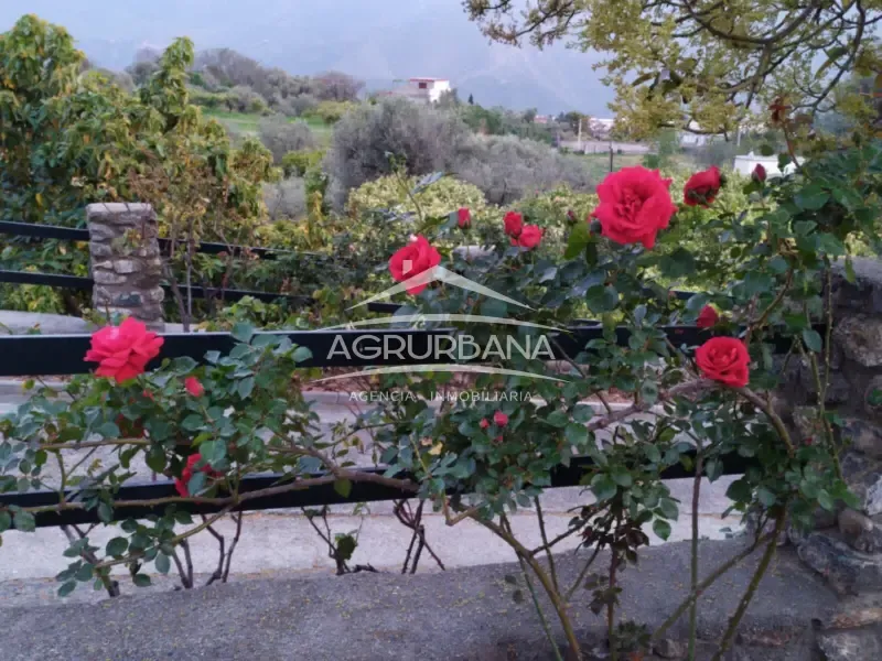 Aed - Rustic Farmhouse with Fruit Trees in Órgiva