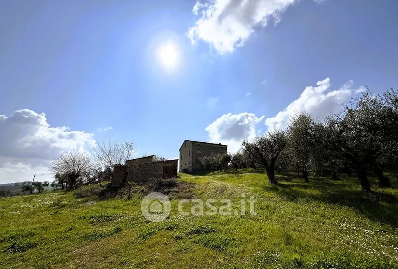 Garden - Rustic Farmhouse with Garden in Loro Piceno