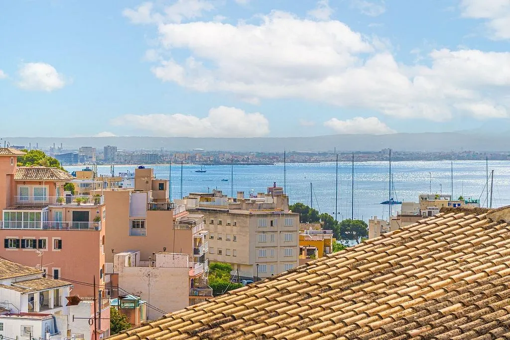 Terrass - Renovated Apartment with Balcony in La Bonanova