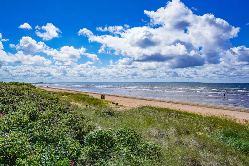 Cottage with Beach Access in Halland