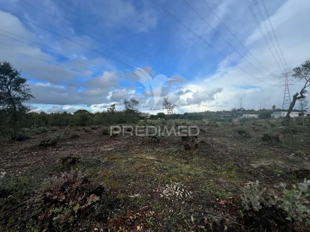 Jardin - Rustic Land with Eucalyptus in Palmela