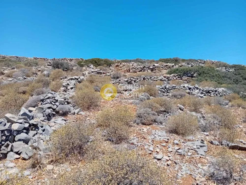 Jardin - 10-Acre Plot with Sea View in Agios Nikolaos