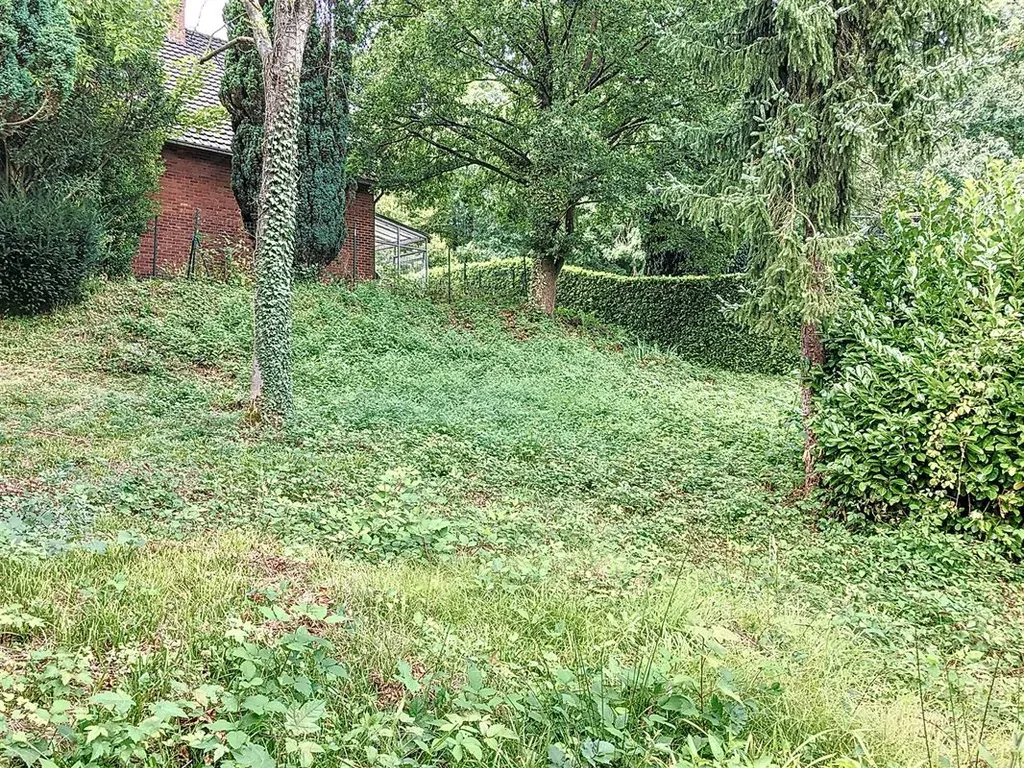 Jardin - Terrain à Bâtir en Zone d'Habitat à Morlanwelz-Mariemont