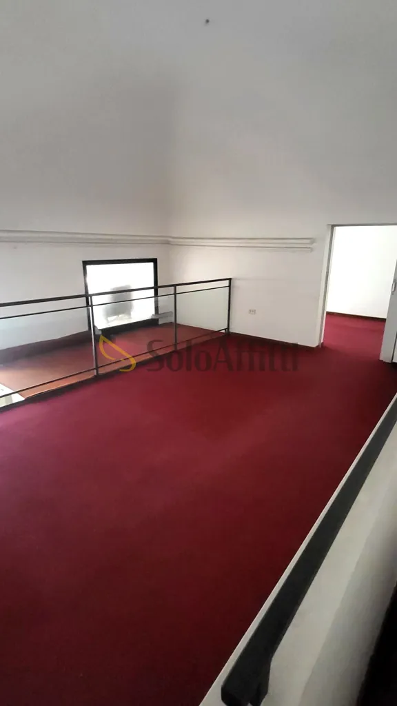Toad - Office in Historic Centre, Senigallia