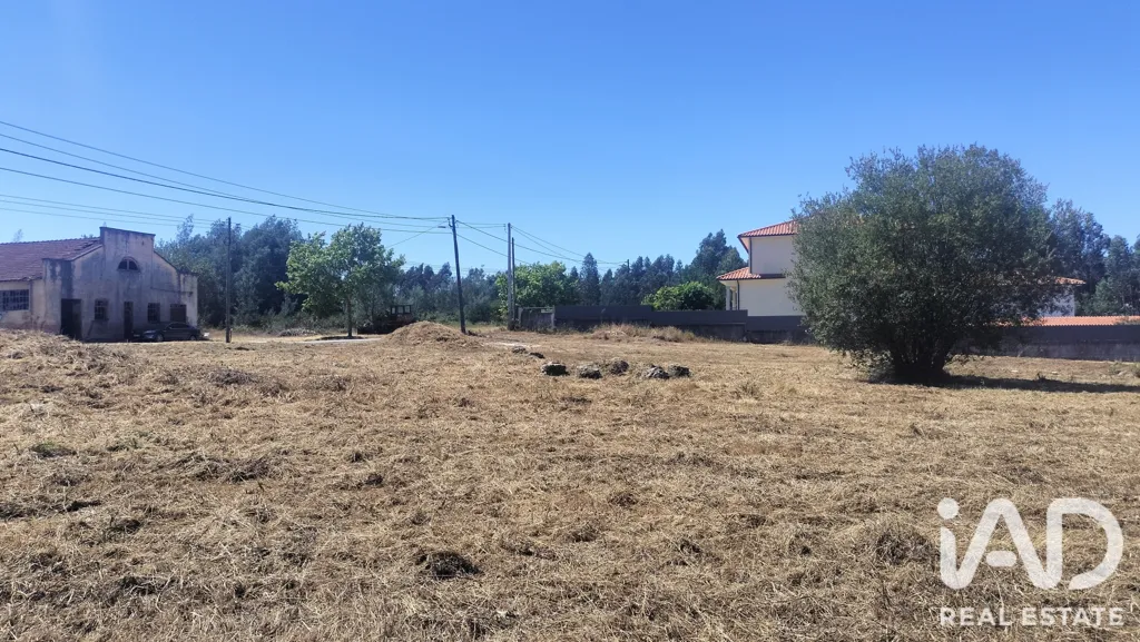 Rural Land with Expansion Potential in Tondela