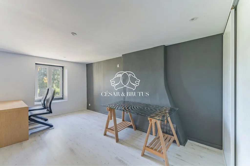 Kabinet - Renovated Stone House with Pool in Chozeau