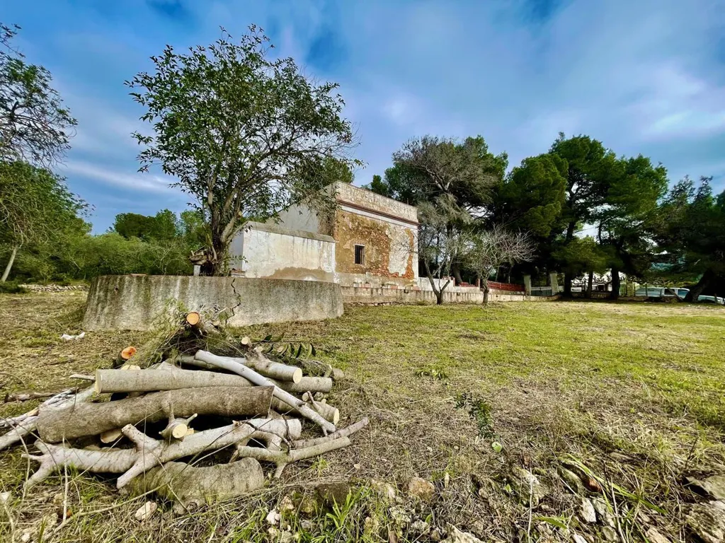Jardin - Modernist House with Pine Woods in Tortosa