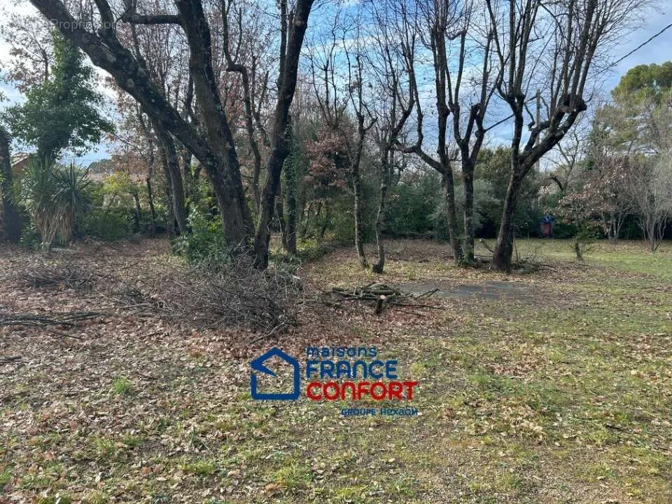 Garden - Flat Terrain with Oak Trees in Draguignan