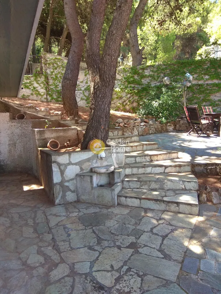 Terrasse - Detached Villa with Pool in Kifissia