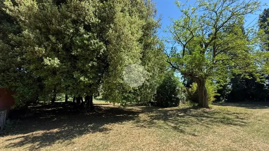 Jardin - Rustic Casale with Garden in Teverina, Viterbo