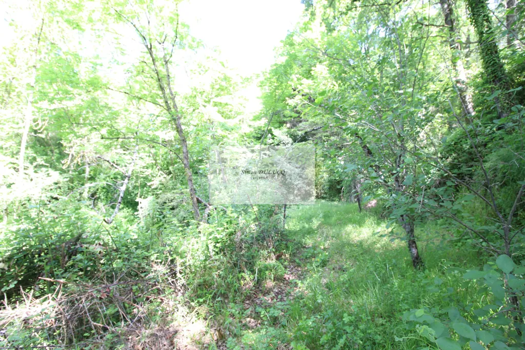 Jardin - Terrain à Bâtir avec Vue à Saint-Affrique