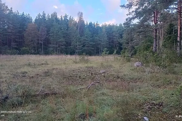 Aed - Maa asukohas Hiiumaa vald