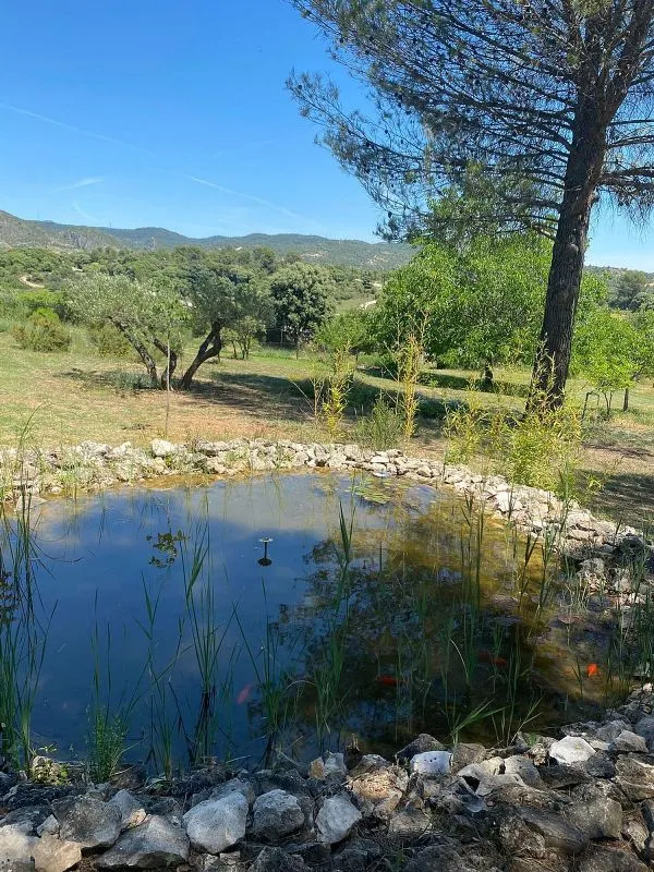 Jardin - Rustic Finca with Pool and Terrace in Durón