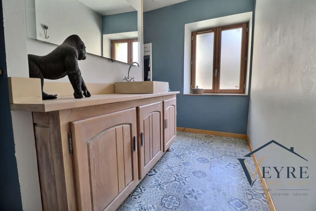 Bathrooms - Character House with Mezzanine in Vic-le-Comte