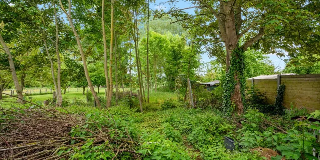 Jardin - Maison à Renover avec Jardin à Haaltert