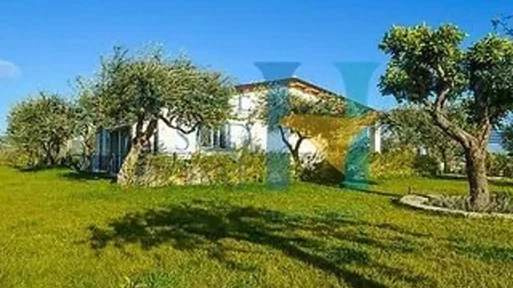 Garden - Villa with Olive Grove in Noto
