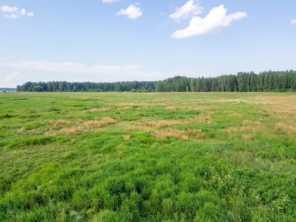 Jardin - Agricultural Land in Valmiera District