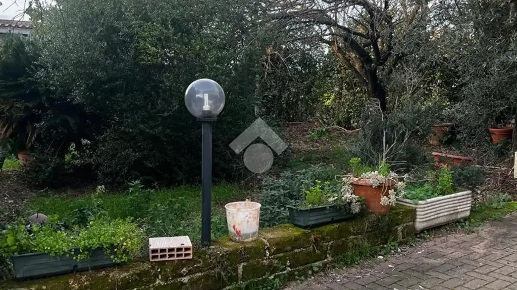Jardin - Independent House with Garden in Ardea