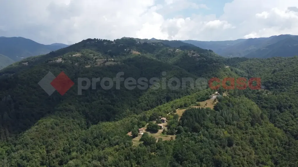 Õhuvaade - Rustic House with Pool in Castiglione Di Garfagnana