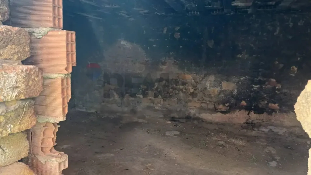 cellar