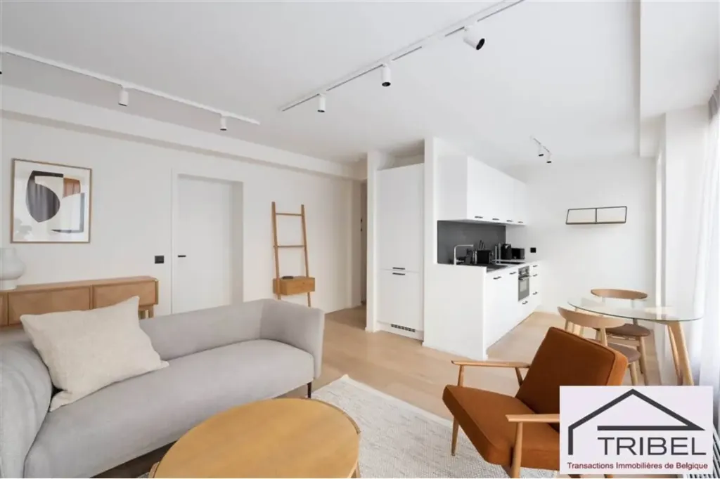 Séjour - Appartement Meublé Rénové au Béguinage, Bruxelles