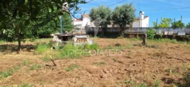 Garden - Quintinha with Fruit Trees in Alentejo