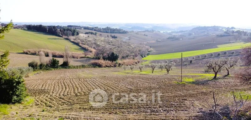 Garden - Rustic Farmhouse with Garden in Loro Piceno