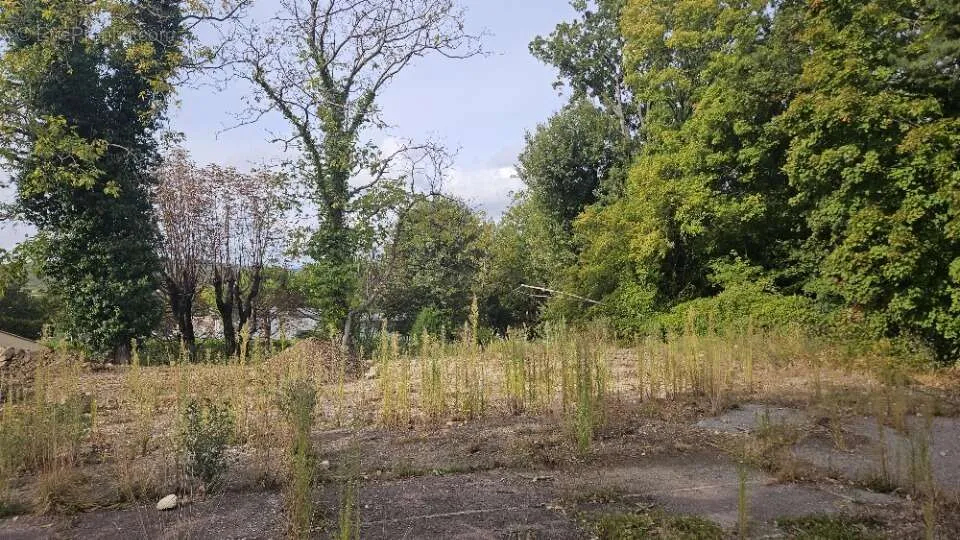 Jardin - Terrain avec Vue Dégagée à Saint-Vallier-De-Thiey