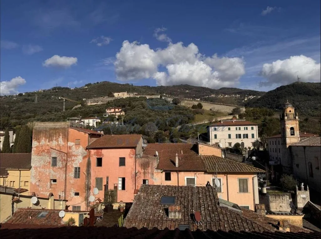 Esterno - Luxury Flat with Historic Views in Pietrasanta