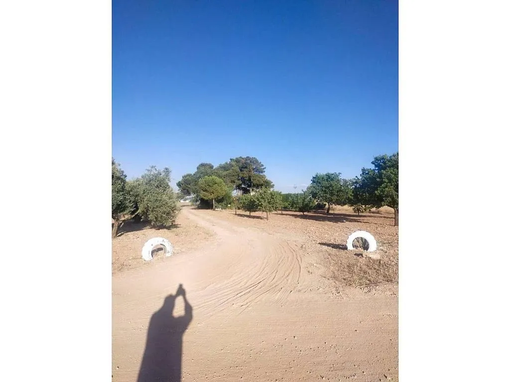 Aed - Rural House with Pool in Manzanares