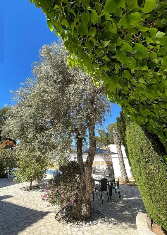 Pool - Villa with Pool and Terrace in El Portet