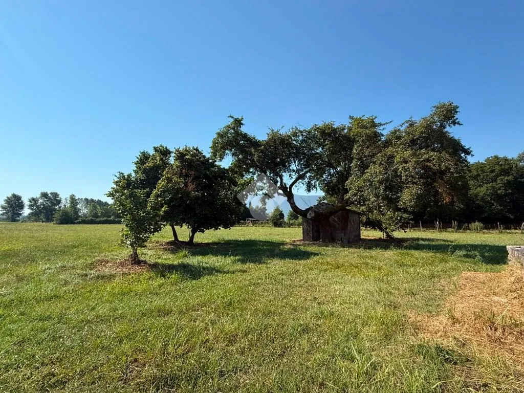 Giardino - Rustico with Large Flat Land in Anagni