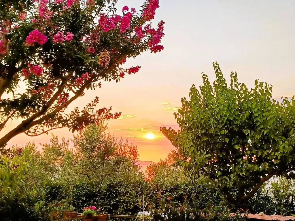 Aed - Luxury Villa with Sea View in Massa Lubrense