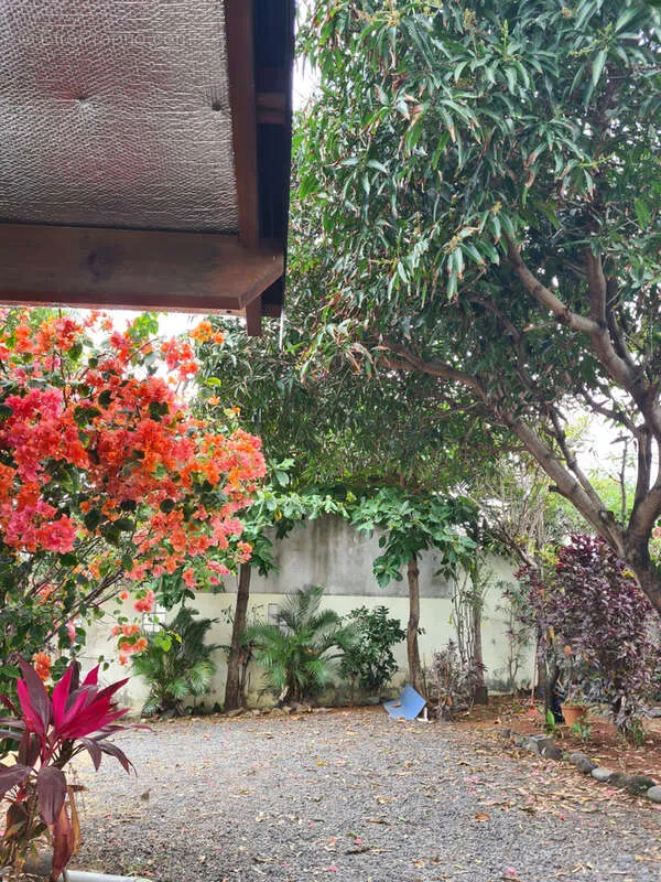 Jardin - Maison T6 avec Jardin et Terrasse à Saint-Joseph