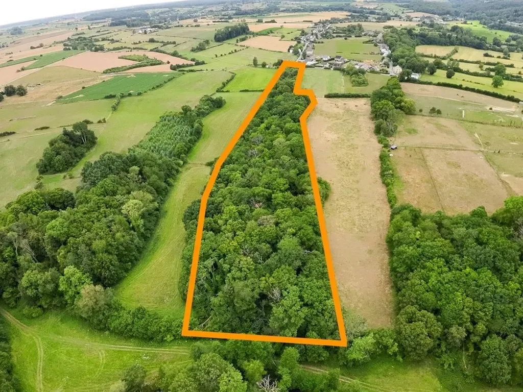 Luftaufnahme - Woodland Plot in Leval-Chaudeville
