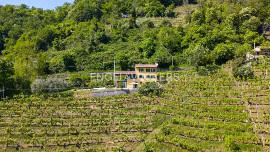 Jardin - Rustic Villa with Vineyard View in Cison Di Valmarino