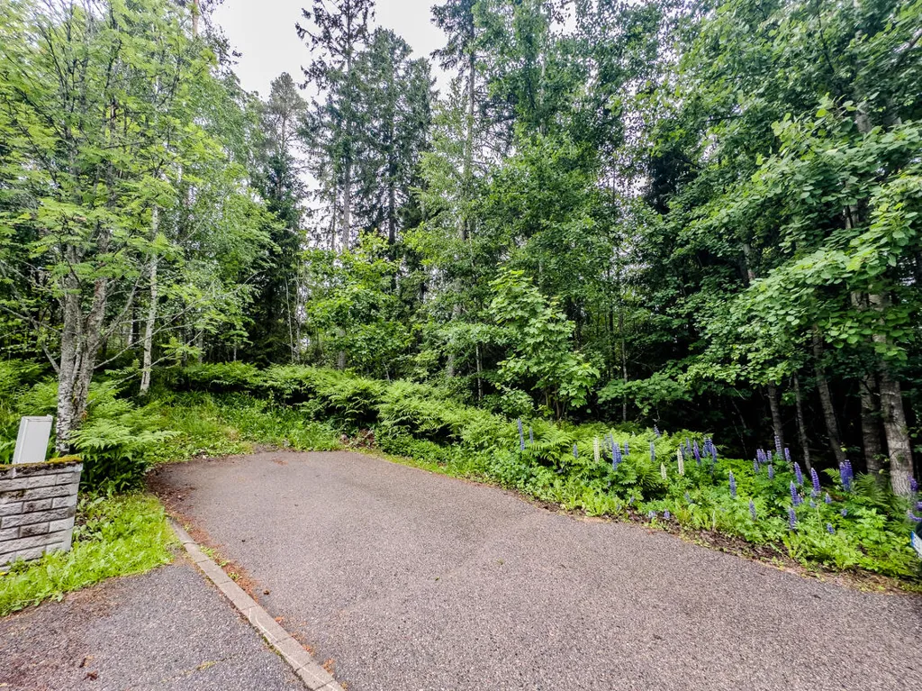 Välivaade - Plot with Forest Cover in Kerava