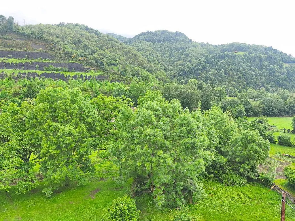 Aerial - Apartment with Lift in Cabañaquinta