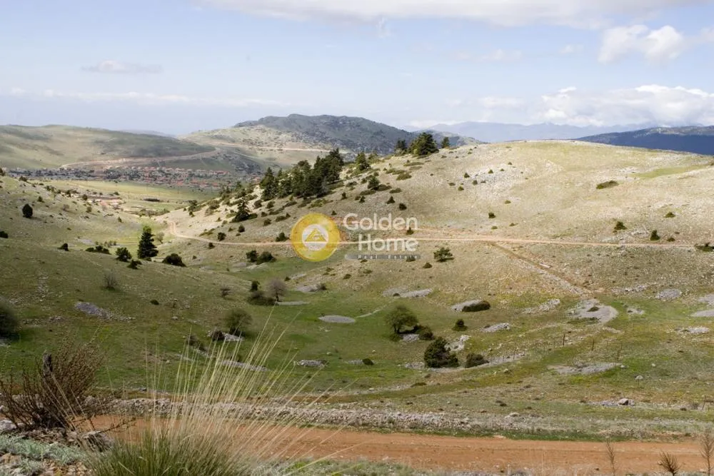 Agricultural Plot with Panoramic View in Arachova