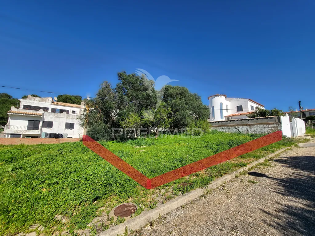 Jardin - Approved Plot for Villa near Oásis Parque