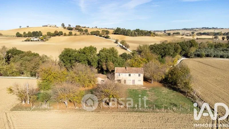 Vista aerea - Traditional Rustico with Olive Trees in Appignano
